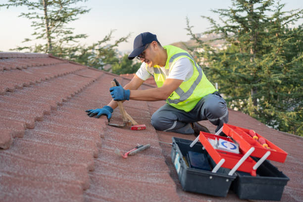 Sealant for Roof in Lamar, MO