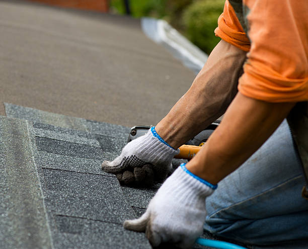 Best Flat Roof Repair Services  in Lamar, MO